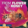 From Flower to Honey - Robin Nelson