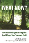 What Now?: How Teen Therapeutic Programs Could Save Your Troubled Child - Paul Case