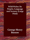 Wild Wales: Its People, Language, and Scenery - George Borrow