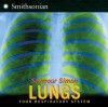 Lungs: Your Respiratory System - Seymour Simon