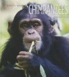 Chimpanzees - Melissa Gish