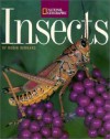 Insects - Robin Bernard