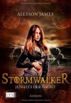 Stormwalker: Jenseits der Nacht - Allyson James, Katrin Kremmler