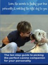 How to Pick the Perfect Dog for Your Personality Type - David Butler