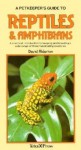 Petkeepers Guide to Reptiles & Amphibians - David Alderton