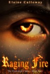 Raging Fire (Elemental Clan, #2) - Elaine Calloway