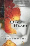 Open Heart - Abraham B. Yehoshua, Dalya Bilu