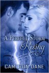 A Perfect Storm Rising - Cameron Dane