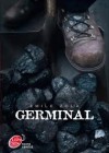 Germinal (Les Rougon-Macquart, #13) - Émile Zola