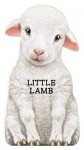 Little Lamb - Barron's Book Notes