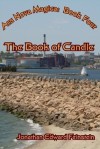 The Book of Candle - Jonathan Edward Feinstein