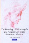 The Drawings Of Michelangelo And His Followers In The Ashmolean Museum - Paul Joannides