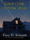 What Came from the Stars - Gary D. Schmidt