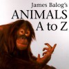 James Balog's Animals A to Z - James Balog