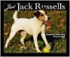 Just Jack Russells - Steven Smith, Dusan Smetana