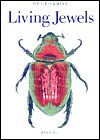 Living Jewels: The Natural Design of Beetles - Poul Beckmann