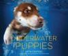 Underwater Puppies - Seth Casteel