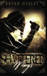 Shattered Wings - Bryan Healey