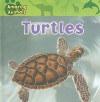 Turtles - Christina Wilsdon