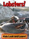 Lobsters! Learn About Lobsters and Enjoy Colorful Pictures - Look and Learn! (50+ Photos of Lobsters) [Kindle Edition] - Becky Wolff