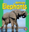 African Elephants - Shannon Knudsen