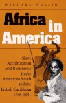 Africa in America: Slave Acculturation and Resistance in the American South and the British Caribbean, 1736-1831 - Michael Mullin