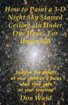 How to Paint a 3-D Night Sky Starred Ceiling...in Under One Hour...for Under $20 - Don Ward