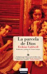 La parcela de Dios - Erskine Caldwell, Vicente Campos