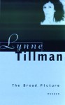 The Broad Picture: Essays 1987-1996 - Lynne Tillman