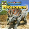 Triceratops - Joanne Mattern, Jeffrey Magniat