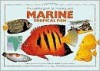 An Essential Guide to Choosing Your Marine Tropical Fish - Dick Mills