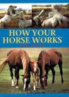 How Your Horse Works - Susan McBane