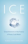 Ice: Great Moments in the History of Hard, Cold Water - Karal Ann Marling