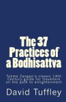 The 37 Practices of a Bodhisattva: Tokme Zangpo's Classic 14th Century Guide for Travellers on the Path to Enlightenment - David Tuffley