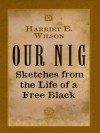 Our Nig: Sketches from the Life of a Free Black (Dover African-American Books) - Harriet E. Wilson