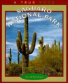 Saguaro National Park - David Petersen