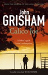 Calico Joe - John Grisham