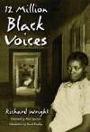 12 Million Black Voices - Richard Wright, Noel Ignatiev, David Bradley