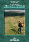 Walking in the North Pennines: A Walker's Guide - Paddy Dillon