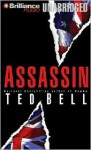 Assassin - Ted Bell