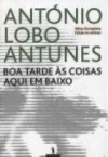 Boa Tarde às Coisas Aqui em Baixo - António Lobo Antunes