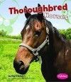 Thoroughbred Horses (Pebble Books) - Kim O'Brien