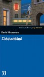 Zickzackkind (SZ Junge Bibliothek, #33) - David Grossman