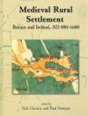 Medieval Rural Settlement: Britain and Ireland, Ad 800-1600 - Neil Christie, Paul Stamper