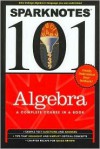 Sparknotes 101: Algebra - Anna Medvedovsky