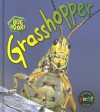 Grasshopper - Karen Hartley, Philip Taylor, Chris Macro