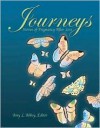 Journeys: Stories of Pregnancy After Loss - Amy L. Abbey