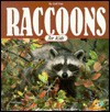 Raccoons for Kids - Jeff Fair, Alan Carey