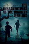 The Misadventures of Joe Bradley Mullins - Larry Hawkins