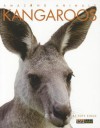 Amazing Animals: Kangaroos - Kate Riggs